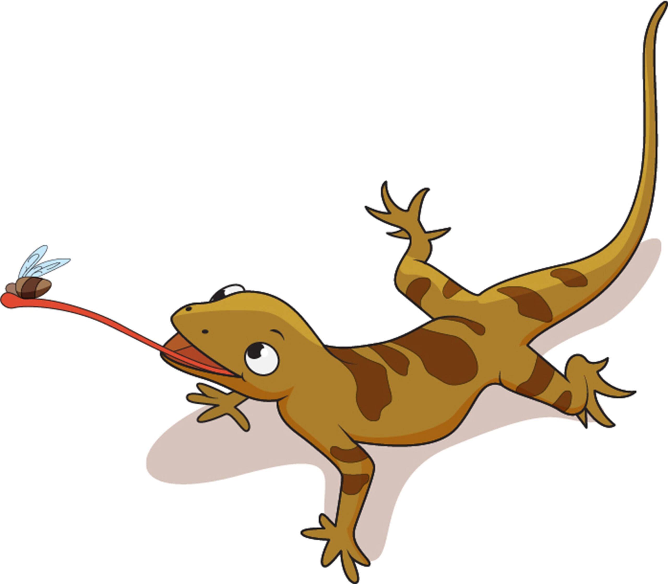 lizard catching insect with its long tongue vector illustration scaled