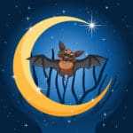 Cartoon bat with crescent moon background