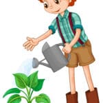 Boy watering the plant