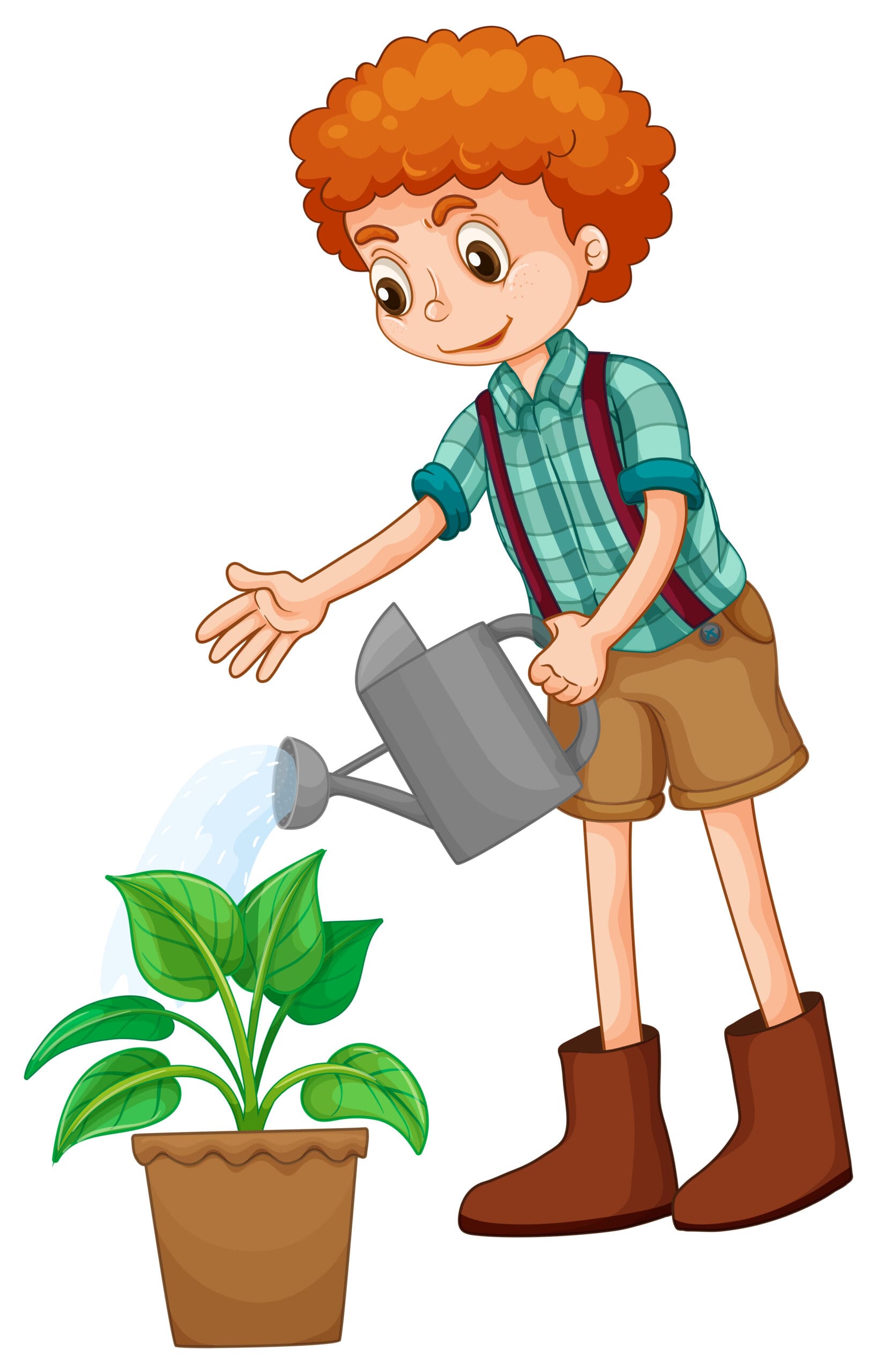Boy watering the plant