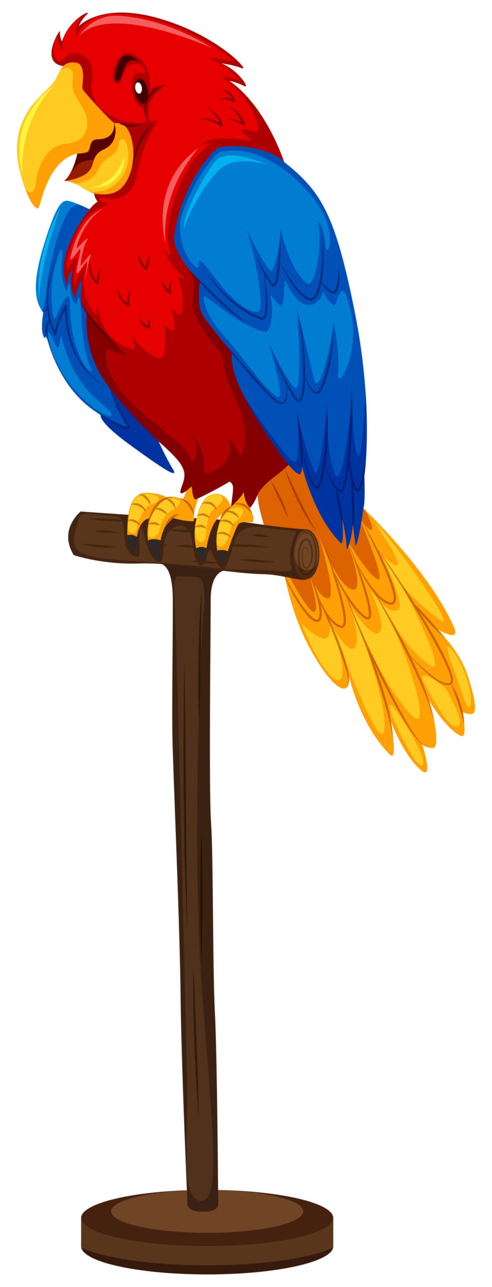Cartoon graphic of a parrot in a pirate hat.